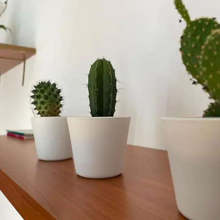 Casa Saluzzo * 都灵